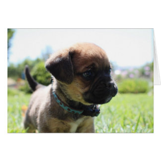 Cartão Não sou bonito