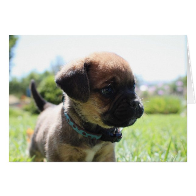 Cartão Não sou bonito (Frente Horizontal)