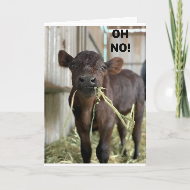 CARTÃO NÃO... VOCÊ ESTÁ **40** FELIZ ANIVERSÁRIO (Frente)