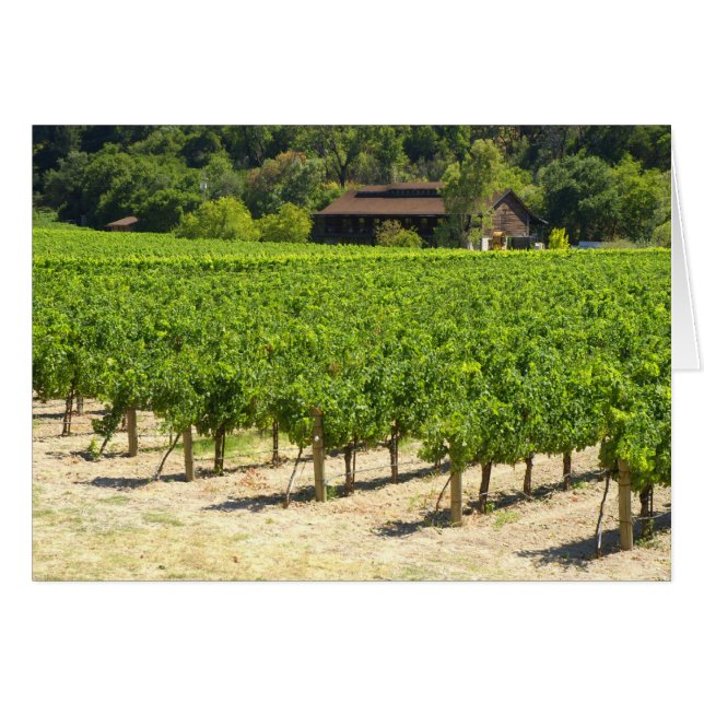 Cartão Napa Valley Winery Vineyard (Frente horizontal)