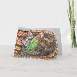 Cartão Napping Buddy