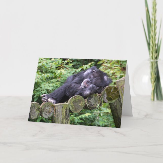 Cartão Napping Chimpanzee Birthday Humor (Frente)