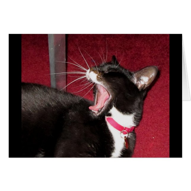 Cartão Naptime para Lucy (Frente Horizontal)