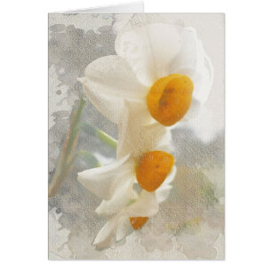 Cartão Narciso. Watercolor.