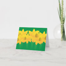 Narcisos Amarelos Alegres