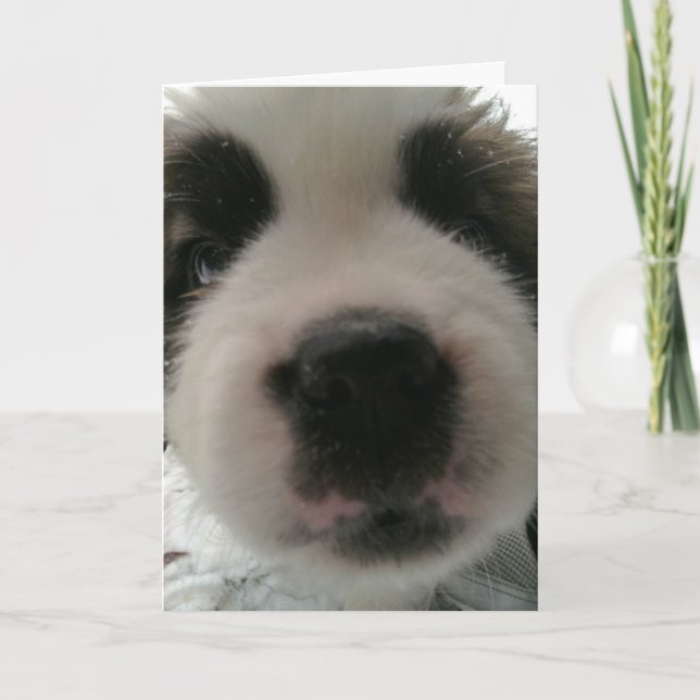 Cartão Nariz de Cachorrinho Engraçado (Frente)