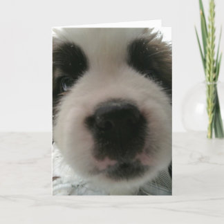Cartão Nariz de Cachorrinho Engraçado