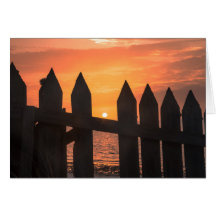 nascer do sol através de uma cerca