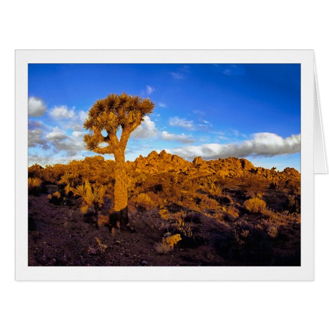 Cartão " Nascer do Sol no Deserto Vivo " (Frente horizontal)