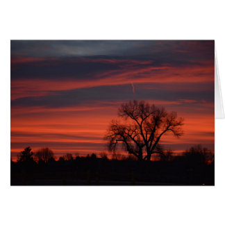 Cartão Nascer do sol no lago harper