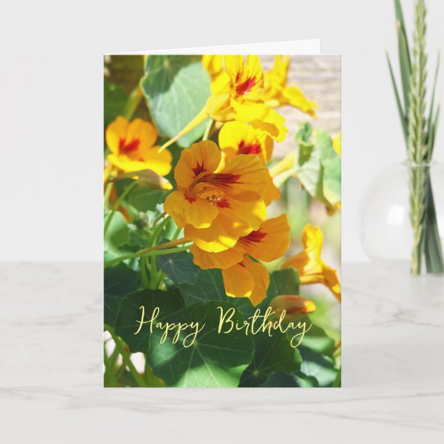 Cartão Nasturtium Birthday (Frente)