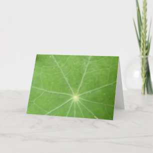 Cartão Nasturtium Leaf Greeting Card