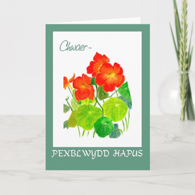 Cartão Nasturtiums Birthday Card: Sister, Welsh Greeting (Frente)