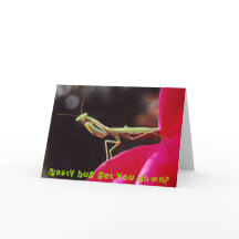  Nasty bug get you down?