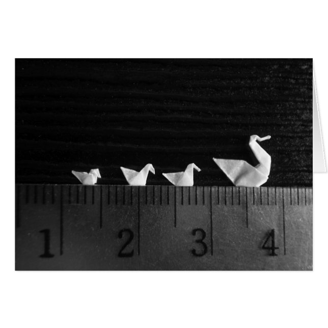 Cartão natação da família de 3cm (Frente horizontal)