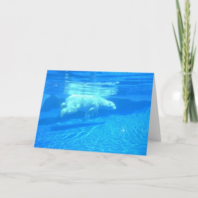 Cartão Natação polar (Frente)