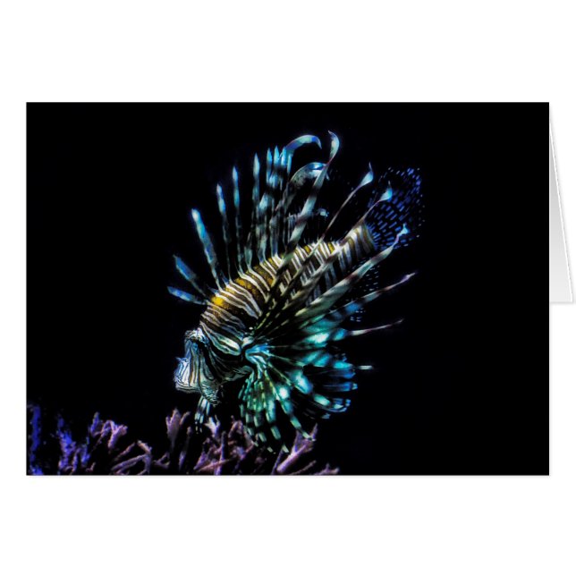 Cartão Natações de Lionfish (Frente Horizontal)