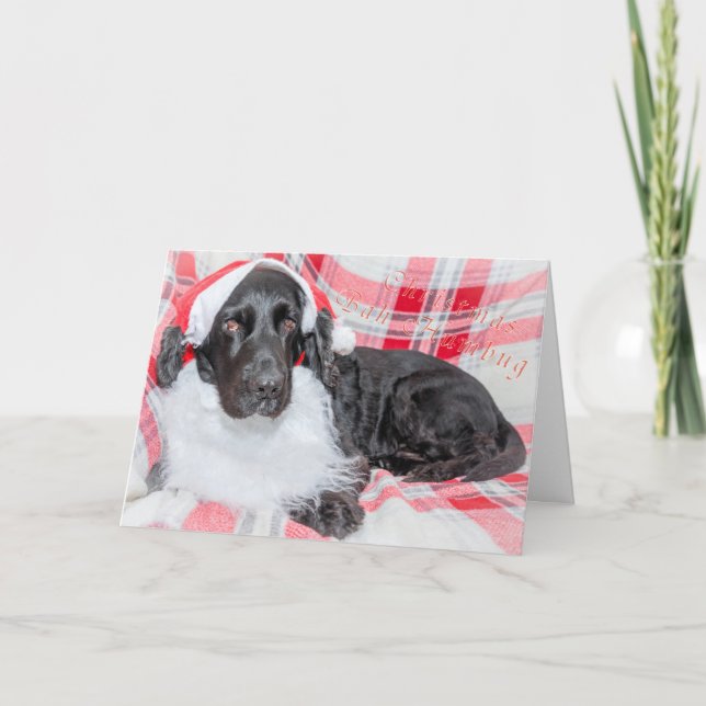 Cartão Natal Bah Humbug (Frente)