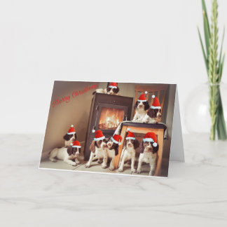Cartão Natal cachorrinho Springer