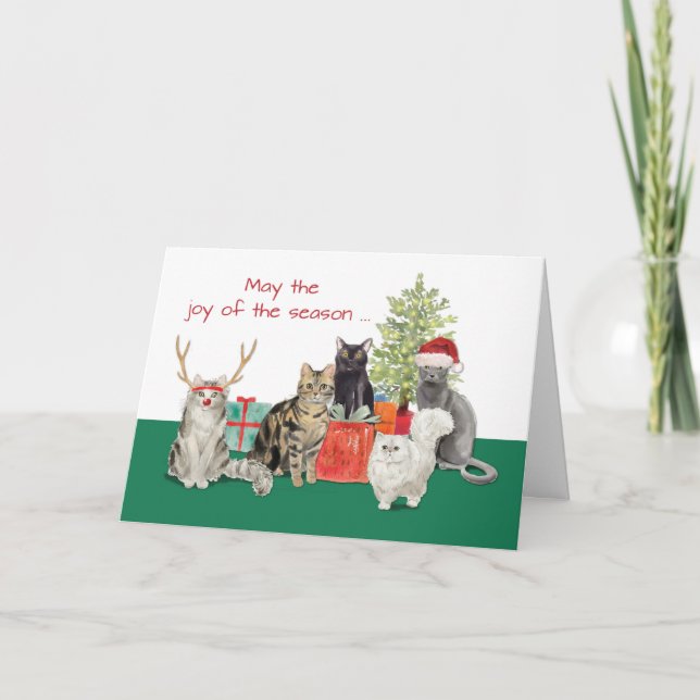 Cartão Natal de Gato e Ano Novo Melhor (Frente)