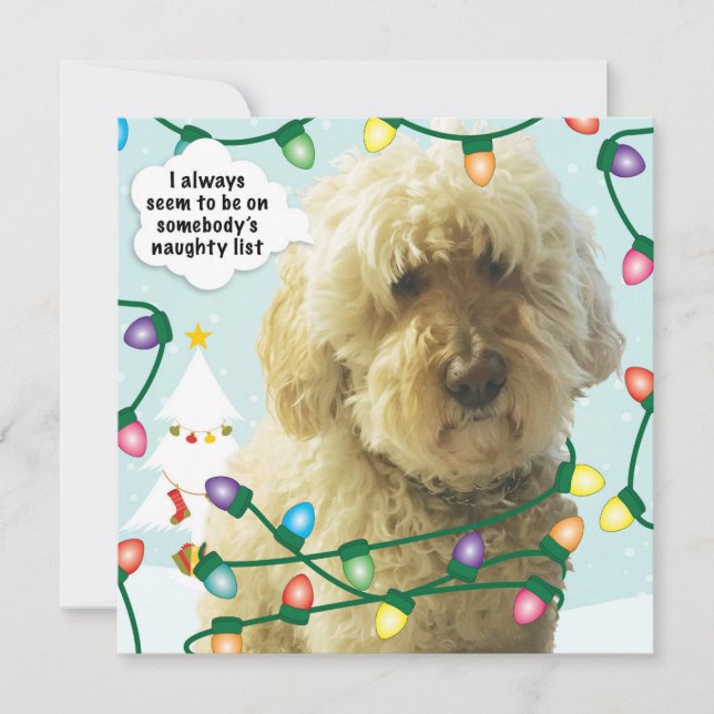 Cartão Natal de Goldendoodle, Diversão de Dodle (Frente)