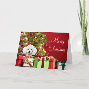 Cartão Natal de Poodle Branco