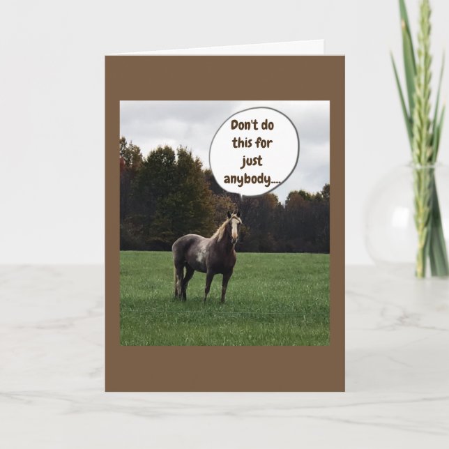 CARTÃO *NATAL* DESEJOS DE UM CAVALO ESPECIAL (Frente)