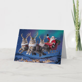 Cartão Natal divertido de Maine Coon de Rena