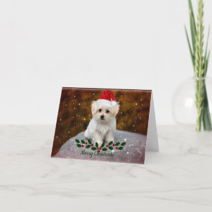 Cartão Natal do Cachorro Maltês