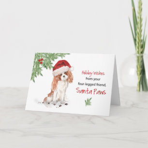 Cartão Natal Do Cavalier King Charles Spaniel Dog