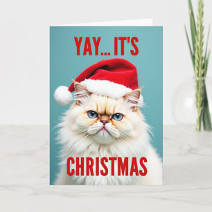 Cartão Natal do Gato Santa Mal-Humorado