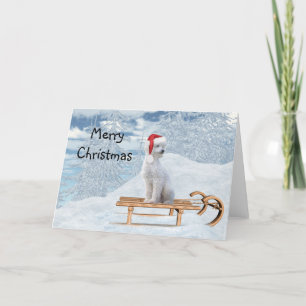 Cartão Natal do Poodle Branco