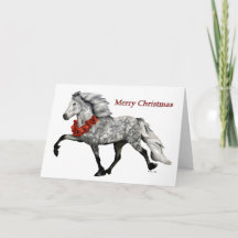 Natal dos Cavalos Islandeses