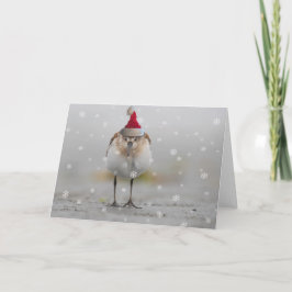 Cartão Natal dos Maçaricos Sonolentos