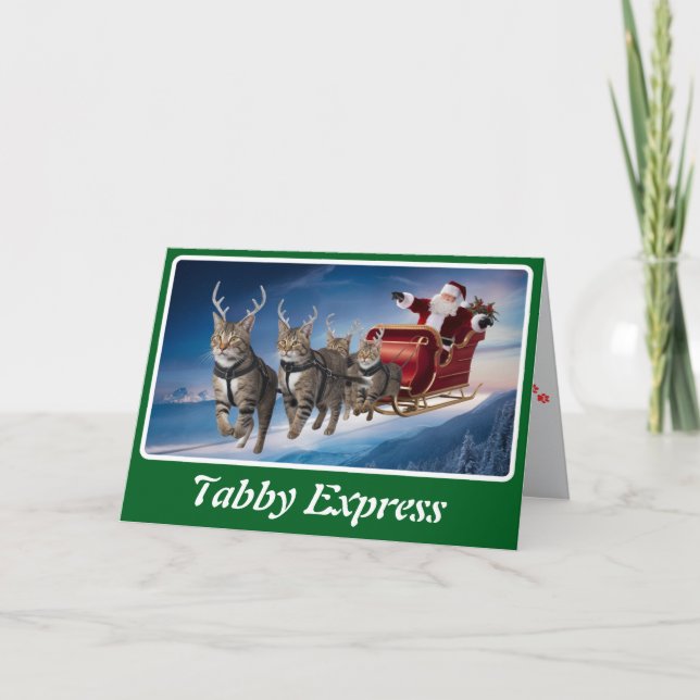 Cartão Natal engraçado do gato cinza tabby (Frente)