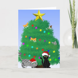 Cartão Natal Felino