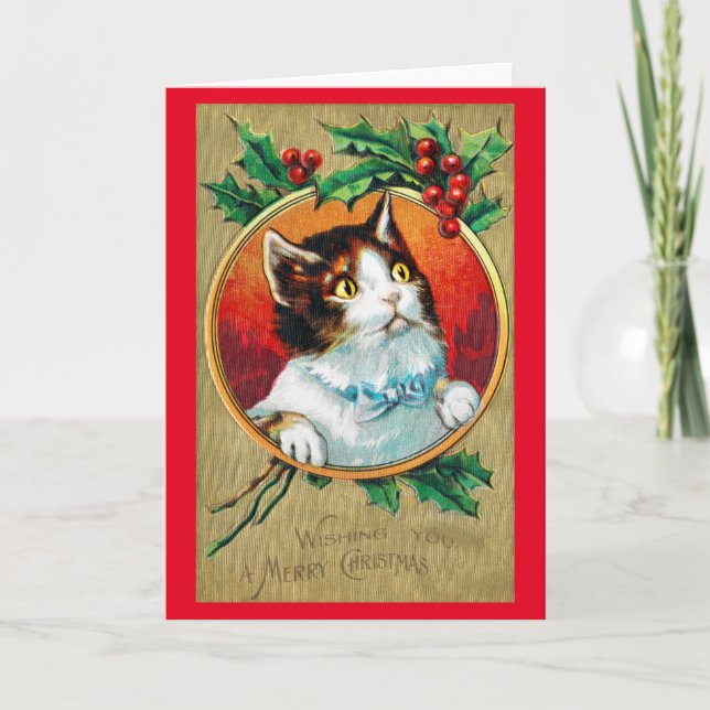 Cartão Natal, Gato Xmas (Frente)