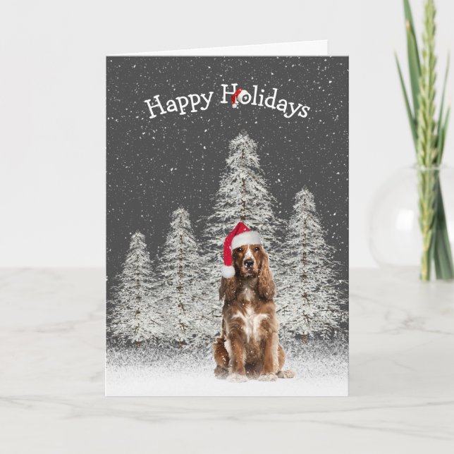 Cartão Natal - Inglês Springer Spaniel (Frente)