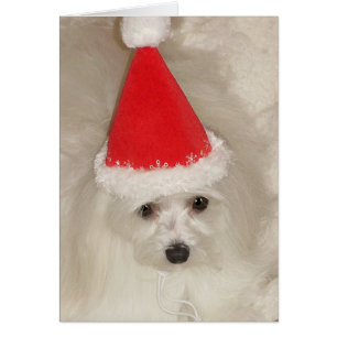 Cartão Natal maltês