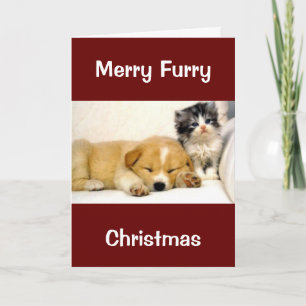 CARTÃO NATAL PARA CACHORRO/CULTURA GATÓRIA/VETERINÁRIO/MA