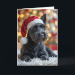Cartão Natal - Terrier on fur<br><div class="desc">Um cachorro negro escocês aterrorizante vestindo um chapéu de Papai Noel se senta em um tapete liso em frente a uma festiva árvore de Natal enfeitiçada com luzes. O texto pode ser alterado.</div>