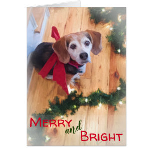 Cartão Natal vermelho do arco do cão alegre e brilhante
