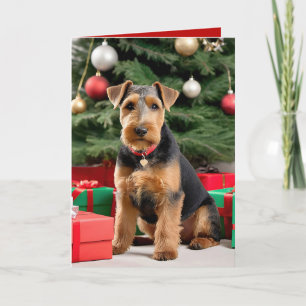 Cartão Natal Welsh Terrier Pela Árvore