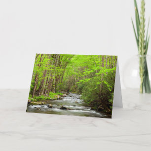 Cartão National Park Carolina do Norte, Montanhas do Enfu