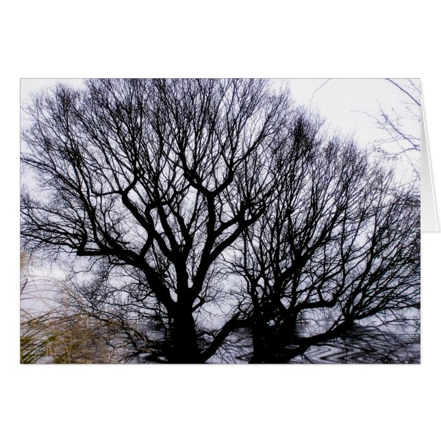 Cartão natural de inverno (Frente Horizontal)