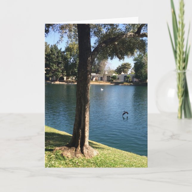 Cartão Nature Flying Happy Birthday Brother (Frente)