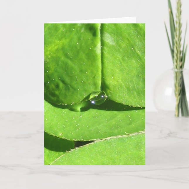 Cartão Nature Goddese Clover com Dew (Frente)