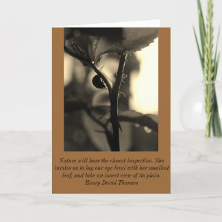 Cartão Nature Inspired Greeting Card with Ladybug