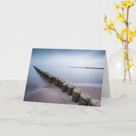 Cartão Nature Photo Island of Usedom Germany