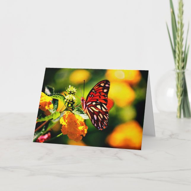 Cartão Nature Photography (Frente)